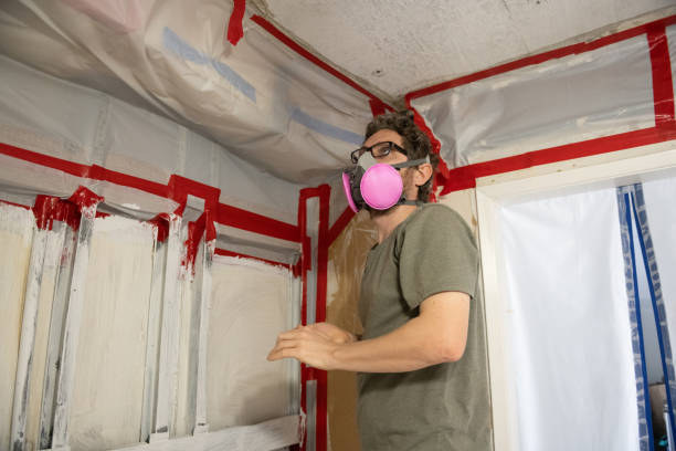 Best Residential Mold Inspection & Testing  in Somers Point, NJ