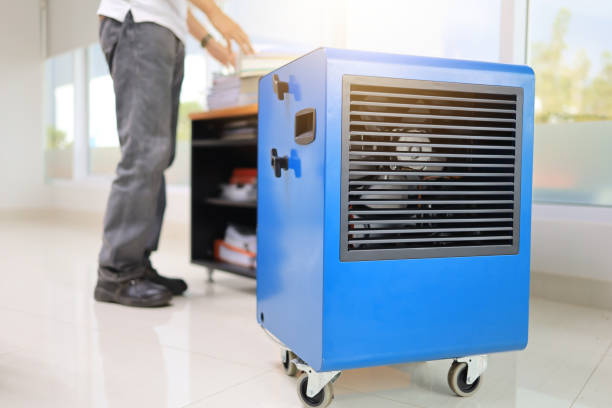 Best Black Mold Removal  in Somers Point, NJ