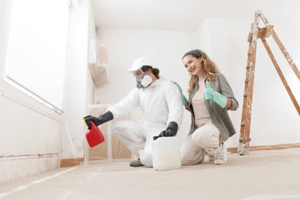 Best Mold Removal for HVAC Installations  in Somers Point, NJ