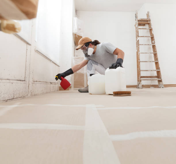 Asbestos and Lead Testing During Mold Inspection in Somers Point, NJ